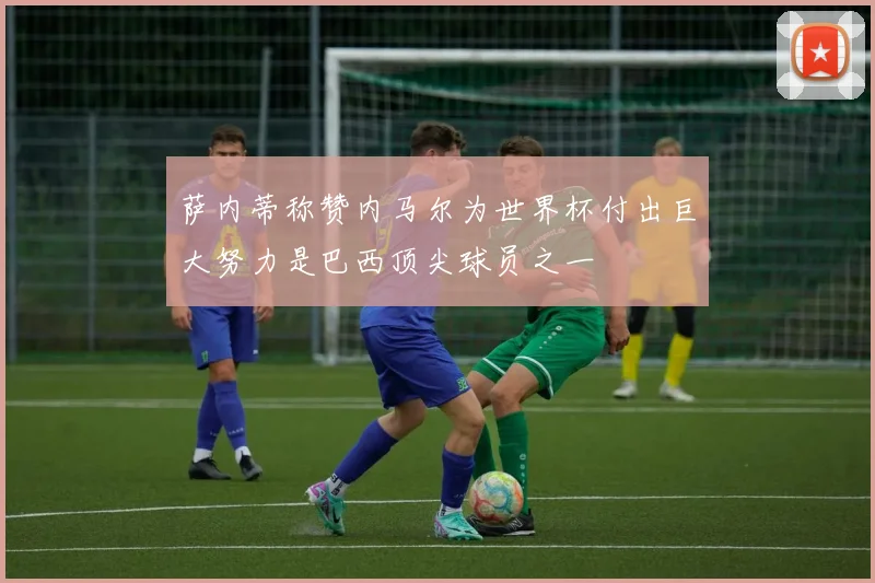 萨内蒂称赞内马尔为世界杯付出巨大努力是巴西顶尖球员之一