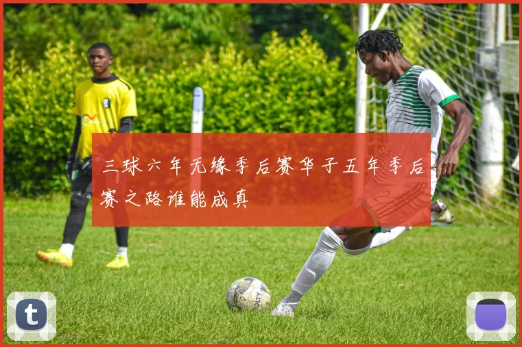 三球六年无缘季后赛华子五年季后赛之路谁能成真